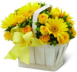 The FTD Uplifting Moments Basket from Lagana Florist in Middletown, CT